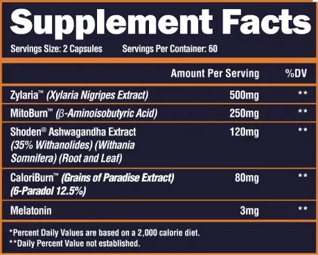 Alpha Lion Superhuman Muscle – Natural Muscle Builder - Image 2